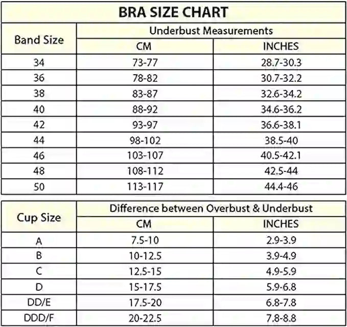 ShapeSense Bra Seamless Wireless Comfort Bra
